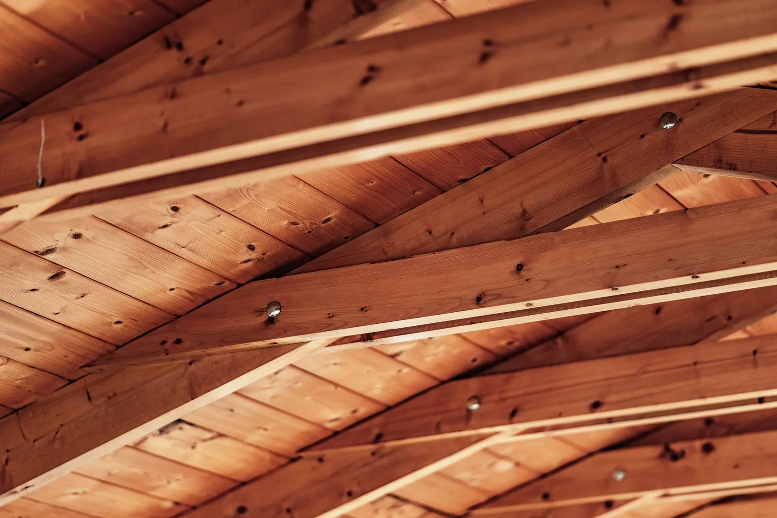 Close-up of exposed wood beams and rafters with visible grain, knots and metal fasteners