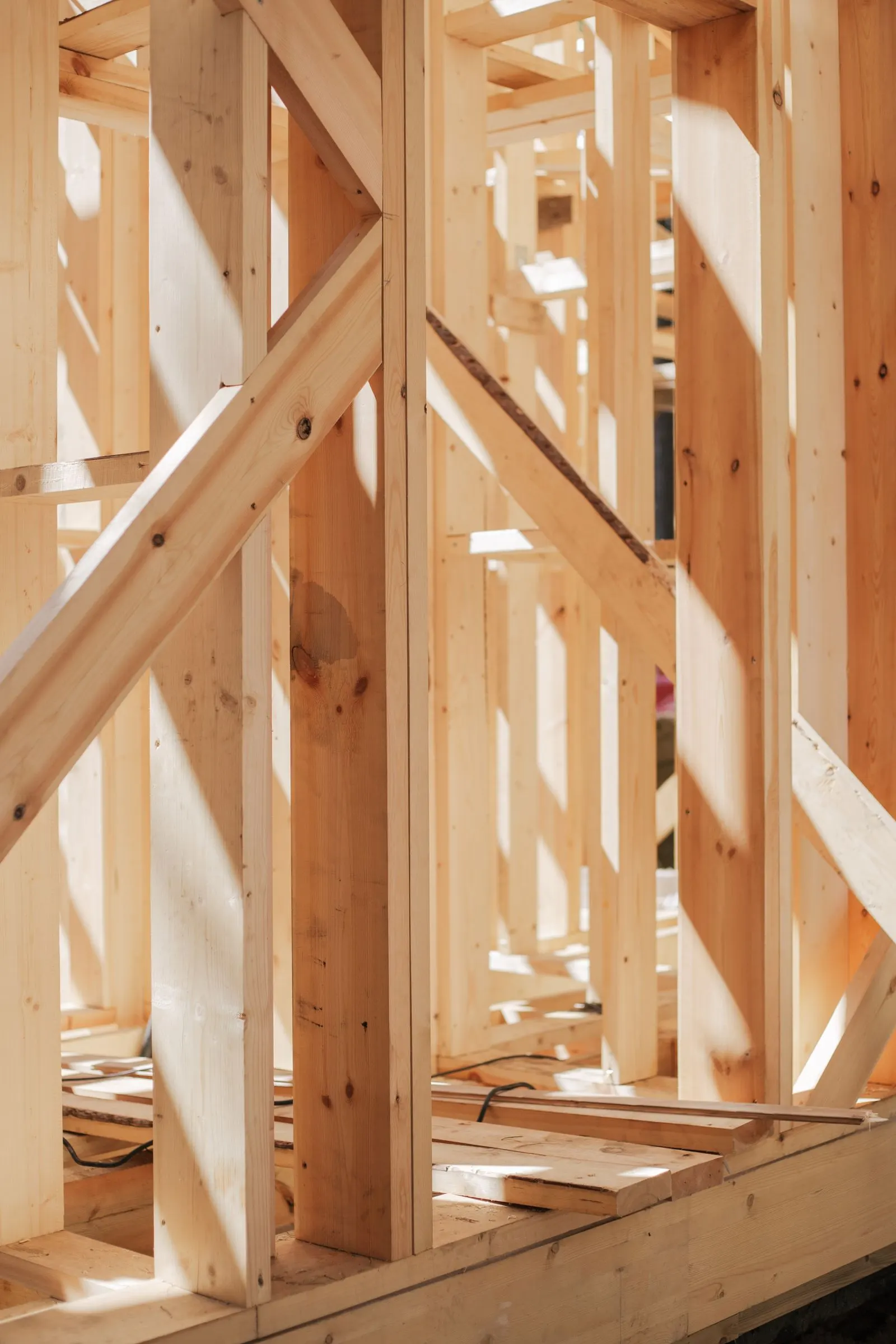 Sunlit wood stud framing with diagonal bracing inside an unfinished building